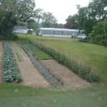 Monastery Garden