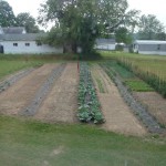 Monastery Garden